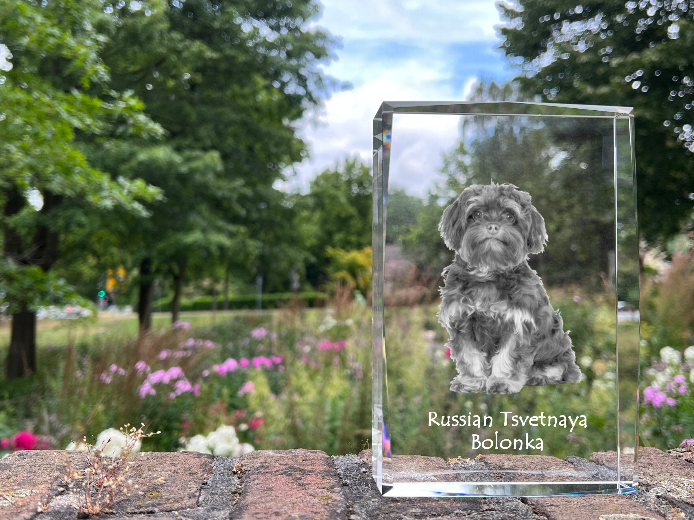 Russian Tsvetnaya Bolonka Crystal Decor with a dog, Engraved Crystal Decoration, Custom Crystal Photo frame, Pet memorial, Your photo