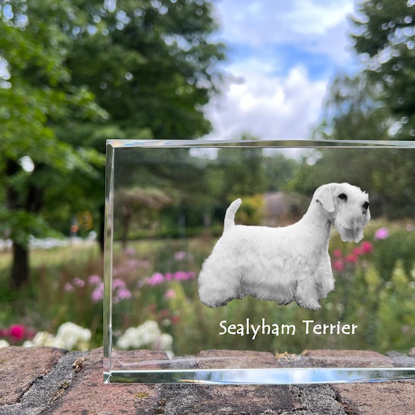 Sealyham Terrier Crystal Decor with a dog, Engraved Crystal Decoration, Custom Crystal Photo frame, Pet memorial, Your photo