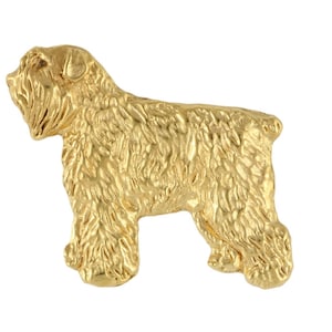 Bouvier des Flandres-lichaamsspeld, vergulde broche, elegant accessoire hondenliefhebber, pin met hond, geschenkdoos, cadeau voor hond