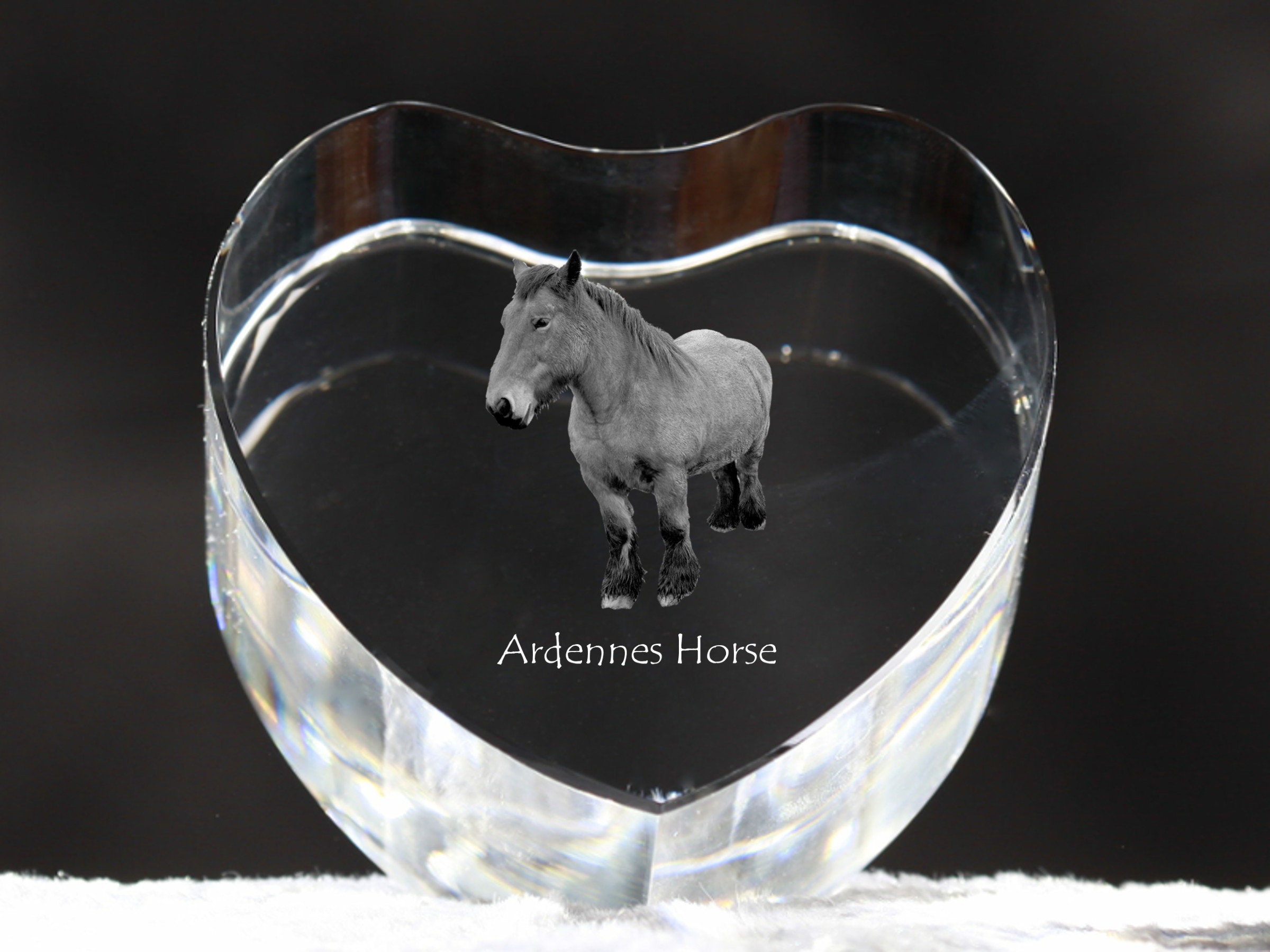 Ardennes Horse - Pets Australia