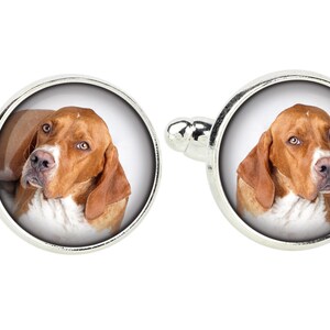 May include: A pair of silver cufflinks with a round, white background and a photo of a brown and white dog with brown eyes looking at the camera.