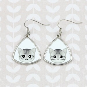 Earrings with a geometric cat, American Shorthair, Hanging earrings with graphics, Hypoallergenic metal, Jewelry with cats, Cat person gift