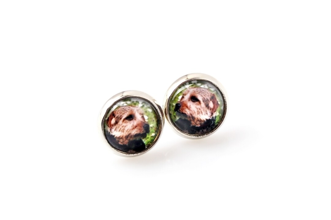 Norfolk Terrier Stud Earrings With a Photo of a Dog Etsy