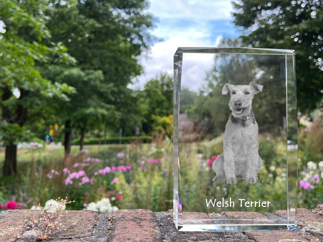 Welsh Frame Welsh Terrier Crystal Decor With a Dog, Engraved Crystal Decoration ...