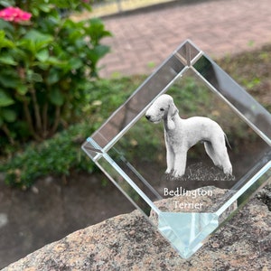 Bedlington Terrier Crystal Cube with a dog, Engraved Crystal Cube, Custom Crystal Photo frame, Crystal paperweight, Pet memorial, Your photo