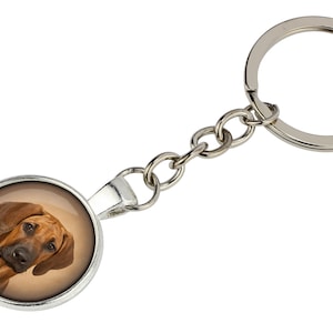 Rhodesian Ridgeback Keyring with a photo of a dog, Customizable keychain for pet lovers, Your photo, Handmade