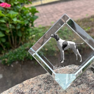 May include: A crystal paperweight with an etched image of an English Pointer dog. The paperweight is shaped like a diamond and has a clear glass base. The text "English Pointer" is engraved on the base.
