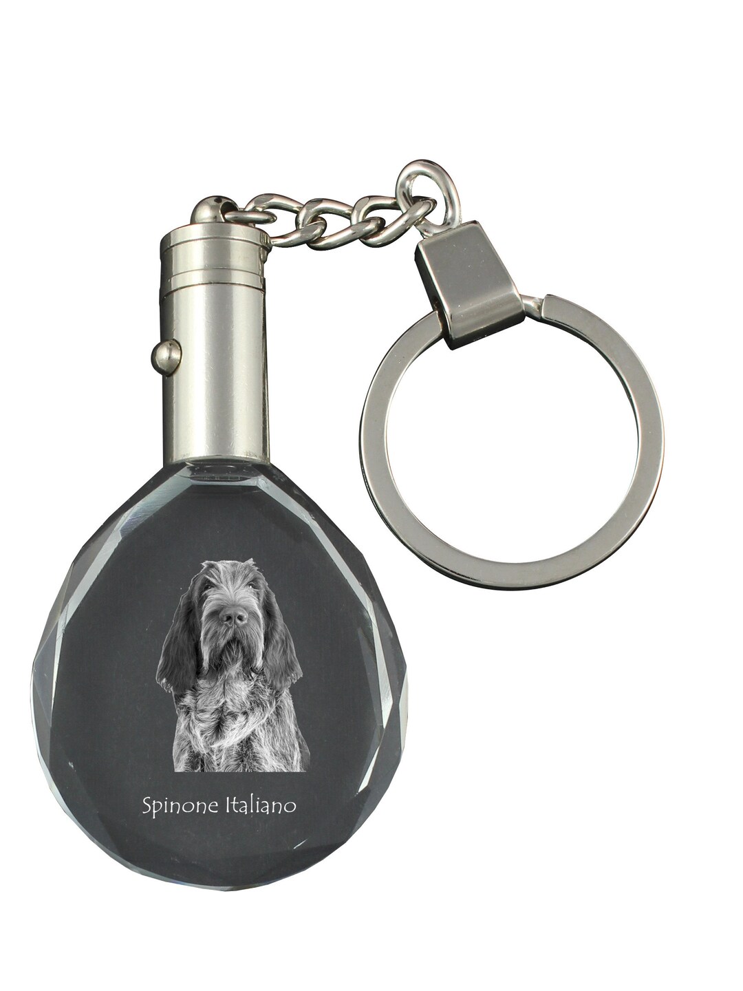 80/240pz Etichetta cane in alluminio sfuso personalizzata osso rotondo