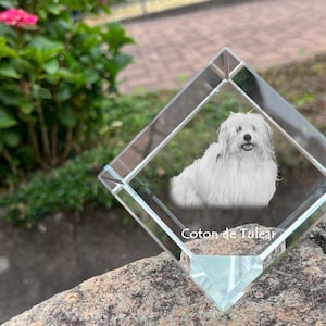 Coton de Tuléar kristallen kubus met een hond, gegraveerde kristallen kubus, aangepaste kristallen fotolijst, kristallen presse-papier, gedenkteken huisdier, Jouw foto