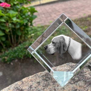 May include: A crystal cube with a black and white photo of a Pointer dog inside. The cube is sitting on a rock and the word "Pointer" is engraved on the bottom.