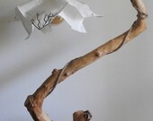 Unique driftwood willow tree floor lamp