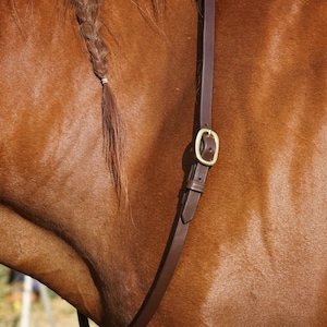 May include: A dark brown leather horse bridle strap featuring a polished brass buckle and a leather keeper, positioned against the side of a chestnut-coloured horse with braided mane sections secured by small light-coloured elastic bands.