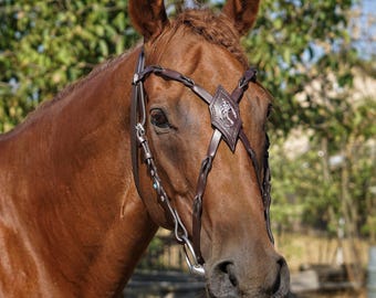 May include: A brown horse wearing a dark brown leather bridle with braided straps and a diamond-shaped browband featuring a silver metal dragon emblem. The bridle includes silver-toned hardware and a small turquoise accent on the cheek piece.
