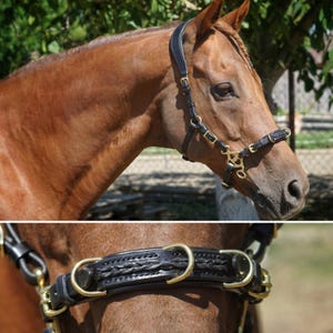 Braided Cavemore Bridle - with or without shanks
