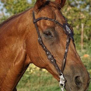 Rebalance Dragon Bridle