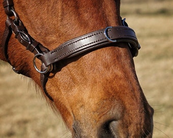 Sidepull noseband with cavesson ring