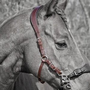 Hackamore Headpiece