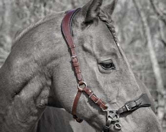 Hackamore Headpiece