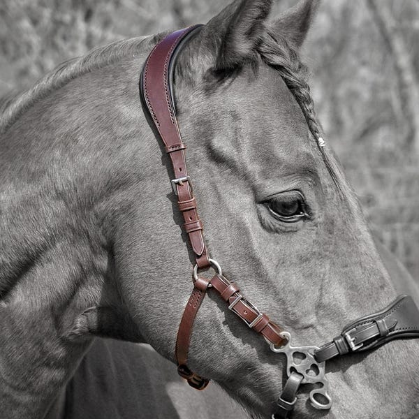 Tocado de hackamore