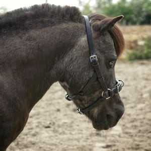 ReBalance Mini Kappniete