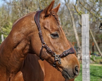 Hackamore Mécanique Sliester - équitation Western - Taille Adulte