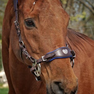 Heart Hackamore Bridle - with or without shanks