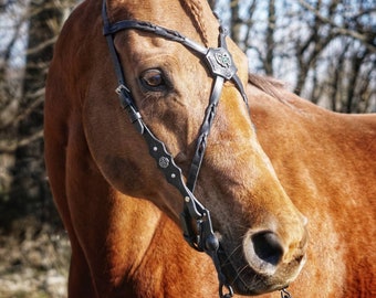 Fantasy bridle with X browband
