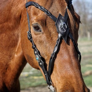 Puede incluir: Una brida de caballo de cuero negro con correas trenzadas, un emblema de dragón de metal plateado en la frente y un adorno circular plateado con una piedra turquesa central en la carrillera, llevada por un caballo de color marrón.