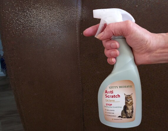 stop cat scratching wallpaper