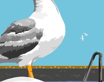 Seagull on the pier