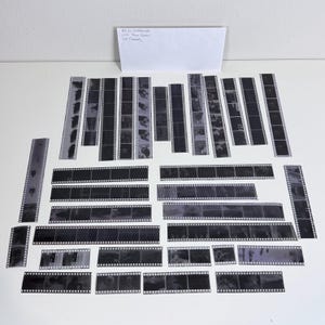 May include: A collection of black and white film negatives arranged on a white surface. The negatives are in strips of varying lengths, displaying images. A white note with handwritten text is visible in the upper portion of the image.