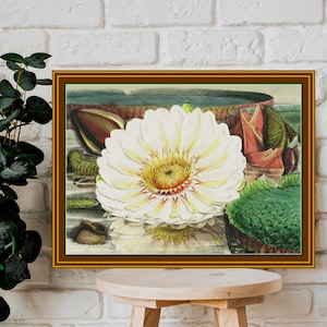 Flower cross stitch pattern PDF file Large floral cross stitch Counted cross stitch Plants nature Flower Water Lily embroidery