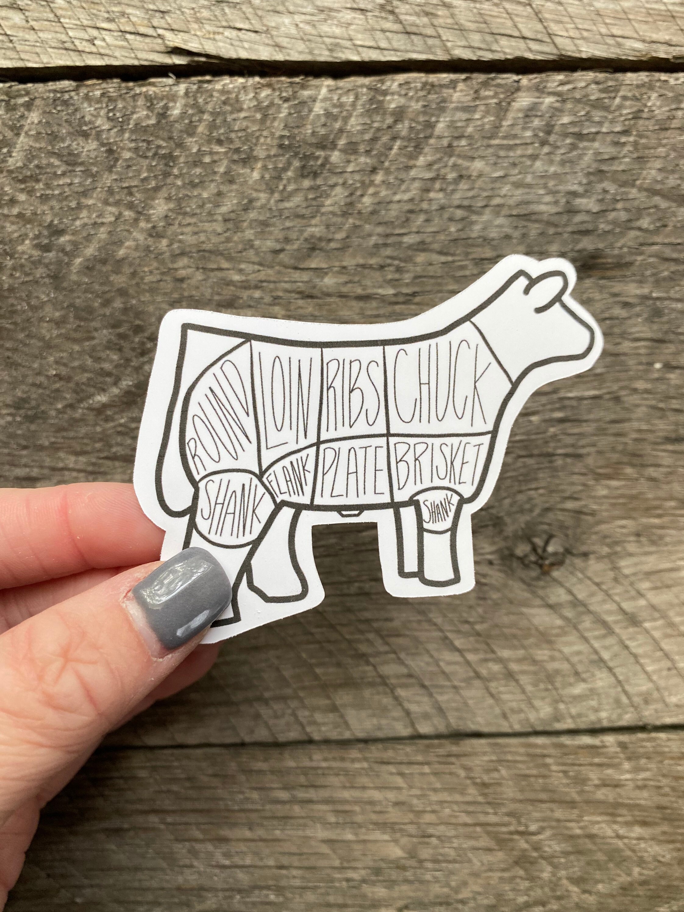 Show Steer Sticker / Show Steer / Show Cattle / Cattle / Etsy