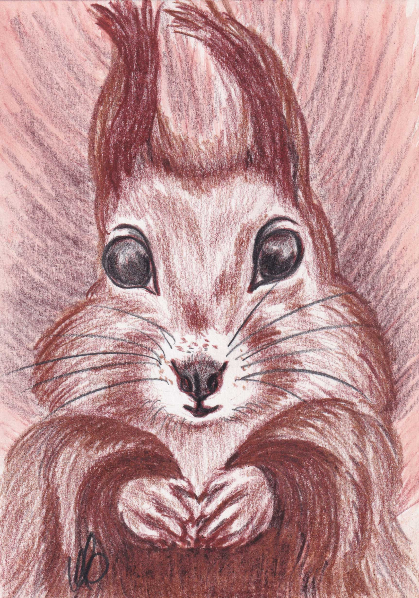 SQUIRREL Familiar Ltd Ed Giclée Archival Print Watercolour - Etsy SQUIRREL Familiar Ltd Ed Giclée Archival Print Watercolour - Etsy