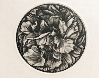 Handgemaakte mezzotint-print van pioenroos gemaakt op drukpapier van Fabriano Rosaspina Avorio