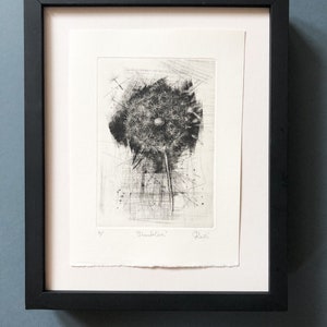 Dandelion mezzotint engraving