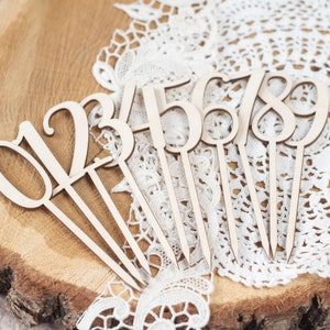 Cake Topper Zahlen Set , Tortenstecker, Cake Topper Zahl 0-9 , Kuchentopper, Geburtstagstorte