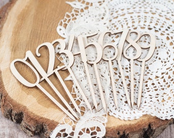Cake Topper Number Set, Cake Topper, Cake Topper Number 0-9, Cake Topper, Birthday Cake