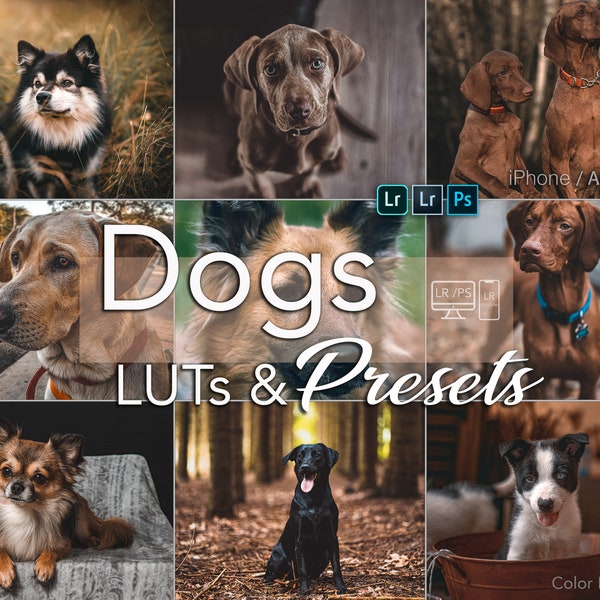 Lightroom Presets Dog Etsy