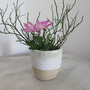 Blumentopf Übertopf Geschenkidee
