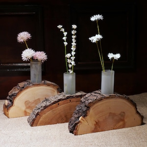 Recycling vase on tree disc