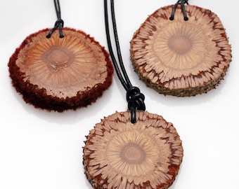 Wooden jewelry made from Banksia cones