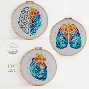 May include: Three cross-stitch patterns in wooden hoops, each depicting anatomical structures. One shows a brain, half grey and half colourful. Another shows lungs with blue, yellow, and red hues. The third is a heart with similar colours. Text reads "PDF Instant Download".
