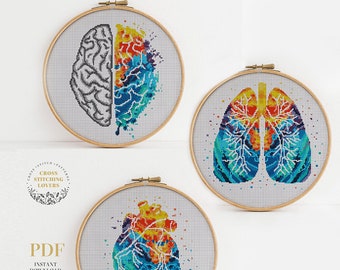 SET 3 Human anatomy cross stitch pattern, Modern counted cross stitch bundle, PDF pattern, embroidery design, instant download PDF chart