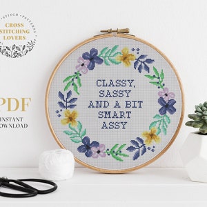 Snarky cross stitch pattern, Funny saying, Classy Sassy and a bit smart assy, subversive pattern, instant download PDF, home decor