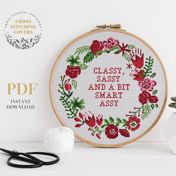 Snarky cross stitch, Classy Sassy And a bit Smart Assy, counted cross stitch, home decor, instant download PDF chart