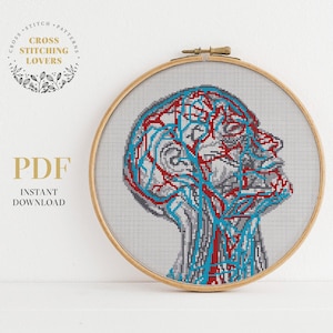 Anatomical cross stitch pattern, Blood veins human head counted cross stitch, Instant download PDF chart, home decor