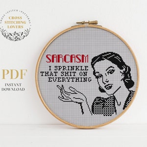 Funny cross stitch pattern, Vintage and retro style counted cross stitch design, easy level, PDF instant download