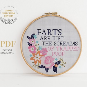 Subversive PDF Cross Stitch Pattern, Funny Fart text, Counted cross stitch chart, instant download, home decor