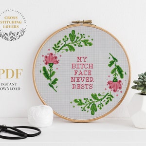 Subversive cross stitch, funny and snarky cross stitch pattern, home decor, PDF instant download